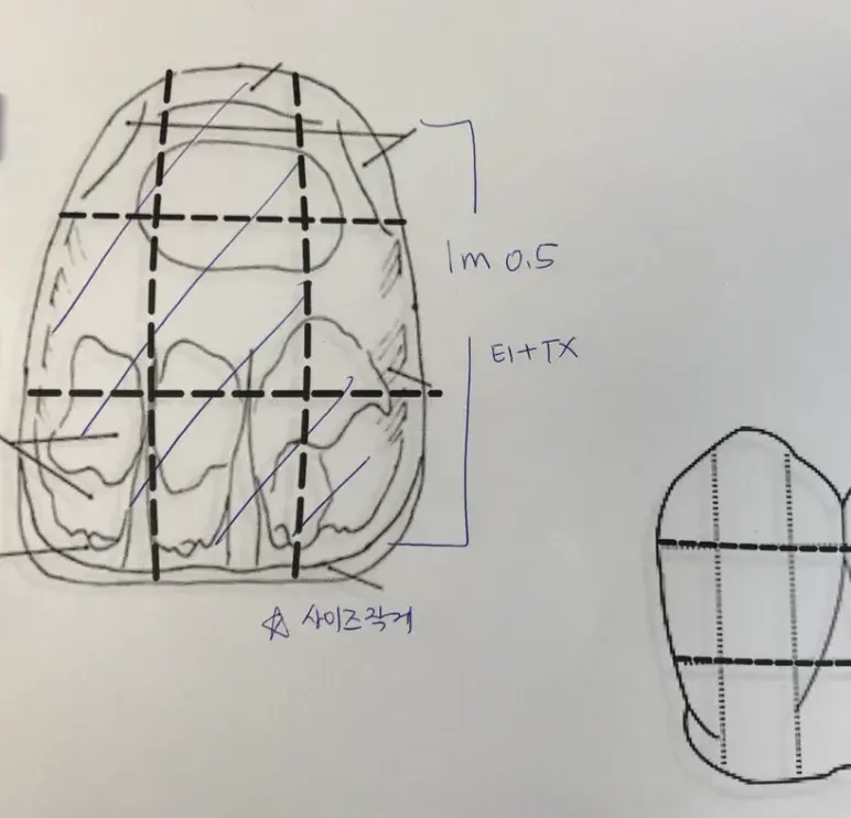 Debbert R. custom shade case