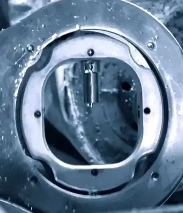 Implant